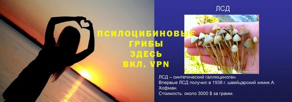 круглые Алзамай