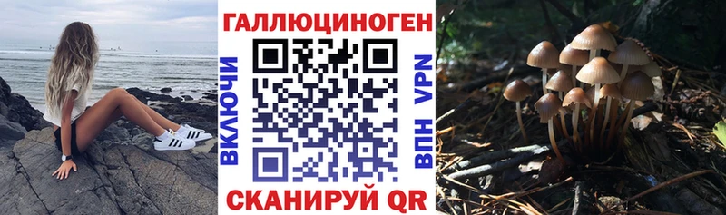 где можно купить наркотик  Гуково  гидра ONION  Галлюциногенные грибы Magic Shrooms 