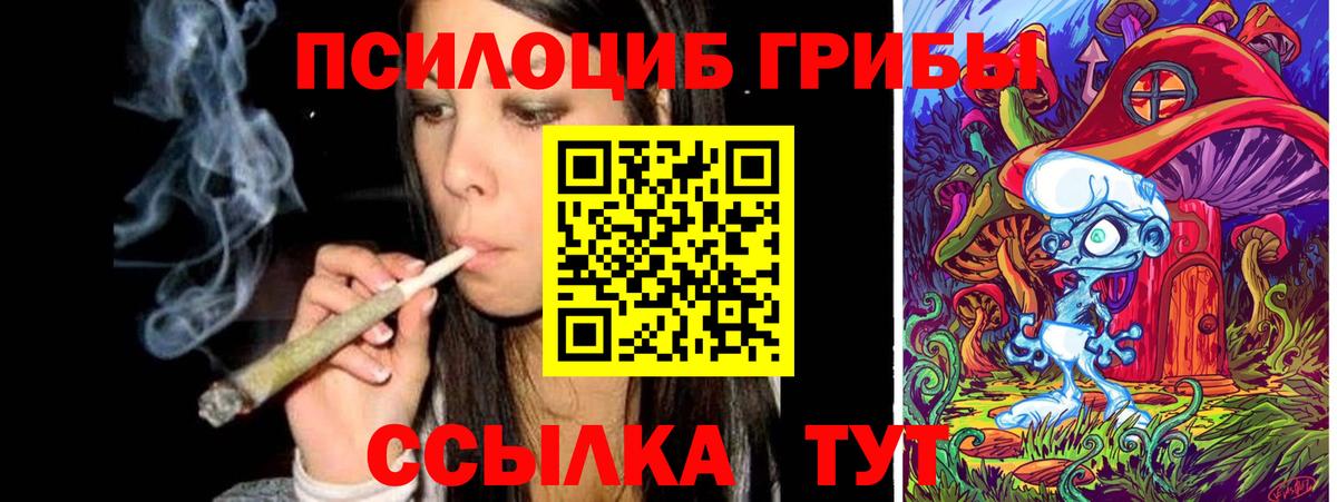 Псилоцибиновые грибы GOLDEN TEACHER Гуково