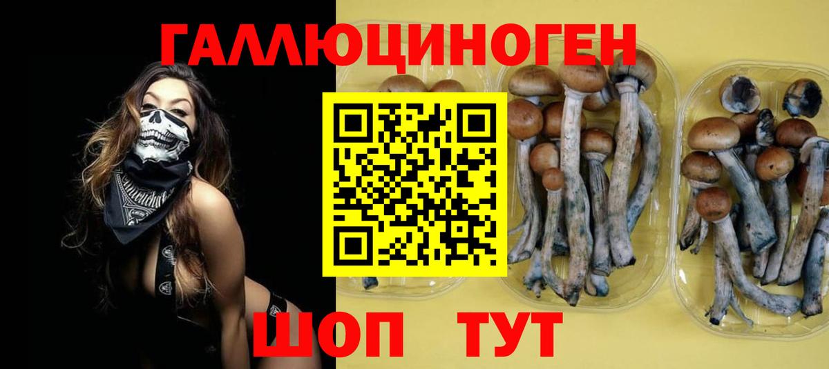 Гуково  Галлюциногенные грибы прущие грибы  Псилоцибиновые грибы мухоморы  Вход с VPN 
